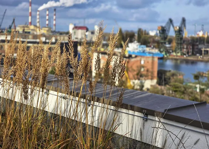 Apartament żurawie U Królika